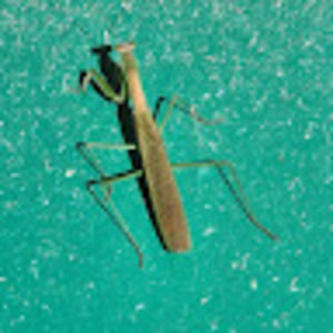 Meet your Posher, Zac